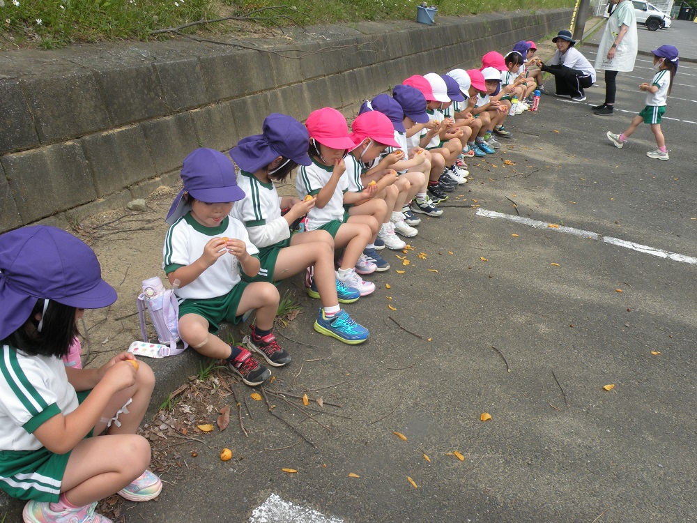 年中さん！皮をむくのは難しかったけれどもっと食べたい！と食べているうちに上手になりました！